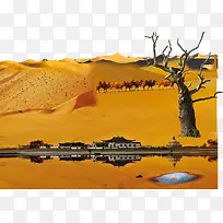 沙漠风景枯树