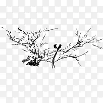 树枝雀鸟绘画