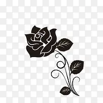 黑色玫瑰花束装饰