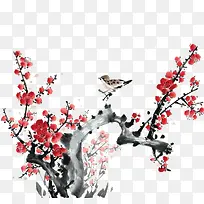 春天的花朵