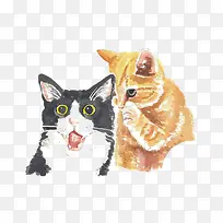 猫咪
