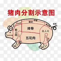 猪肉分割示意图