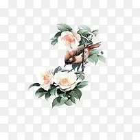 花鸟图片免扣素材