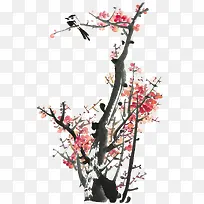 梅花上面的鸟儿