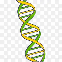黄绿色化学分子DNA