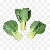 新鲜蔬菜