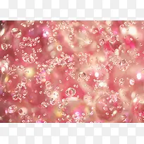 粉色花瓣水珠钻石壁纸