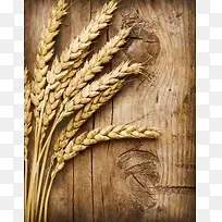 小麦与木板背景