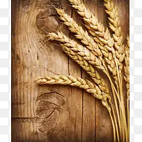 小麦与木板