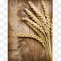 木板与小麦