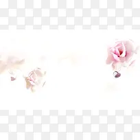 粉白色浪漫花卉海报背景