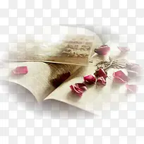 单反拍摄花瓣和书本