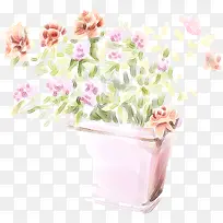 手绘粉色室内植物