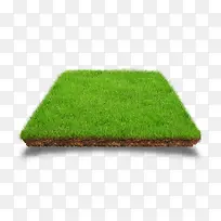 一块绿色草坪