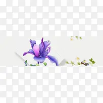 美艳门户banner创意设计