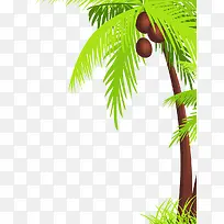 椰树椰子夏日素材