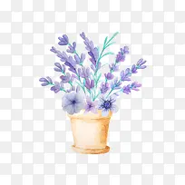 唯美薰衣草