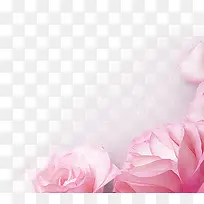 花边