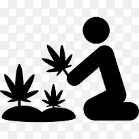 大麻植物图标