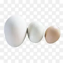 鹅蛋鸭蛋鸡蛋图片素材