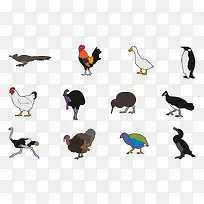 矢量图各种动物的集合