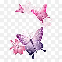 美丽飞舞的彩色蝴蝶花