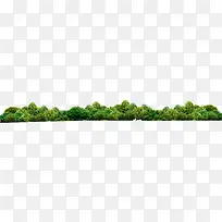 远景景观植物美景