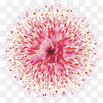 花卉