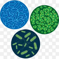 细菌繁殖图