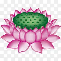 莲花宝座