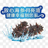 海参