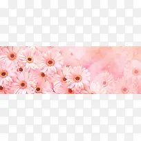 唯美菊花浪漫banner壁纸