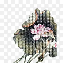 国画莲花