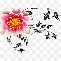 牡丹