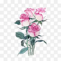 粉色鲜花