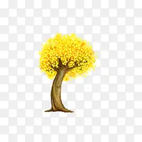 黄兴树