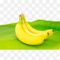 新鲜香蕉和香蕉叶