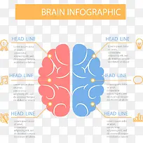 矢量手绘大脑分析
