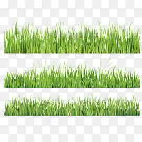 矢量手绘创意绿色植物草地