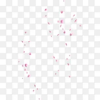 乱舞的粉色花瓣