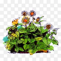 绘画水彩画向日葵