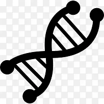 DNA链的科学符号图标