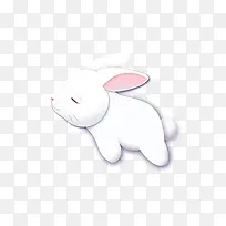 小白兔子