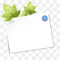 绿色枫叶边框