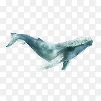 一只蓝色可爱的海洋生物座头鲸插