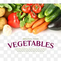 新鲜蔬菜展板设计