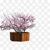粉色花朵树枝盆栽装饰