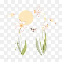 手绘水仙花矢量图