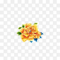 牡丹花