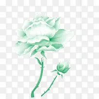 绿色唯美白色玫瑰花素材背景
